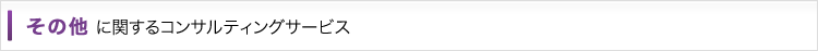 その他に関するコンサルティングサービス